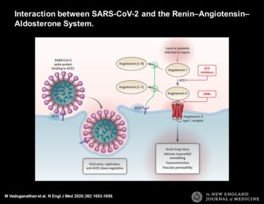 【新型コロナウイルス】COVID-19の降圧薬の密接な関連性。ARBやACEiはコロナウイルス重症化と関係がある!?